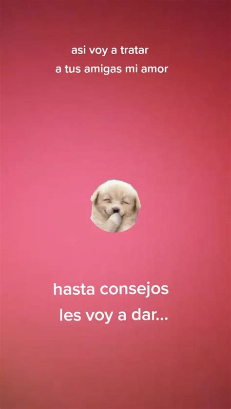 chinababe.net|Twitter.